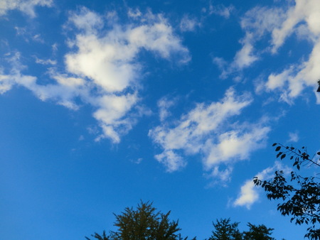 b0190666_21555128.jpg