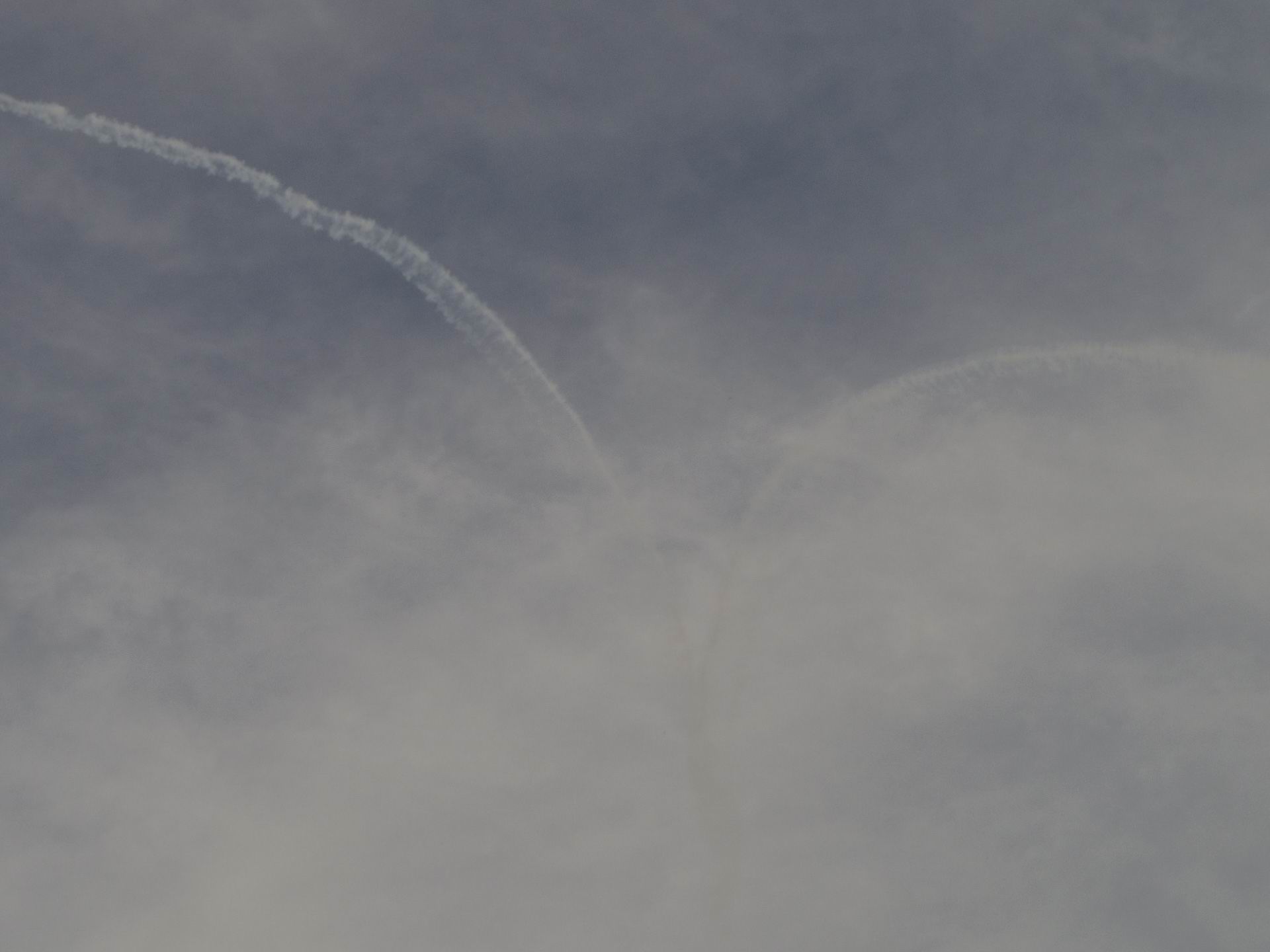 e0048868_014736.jpg