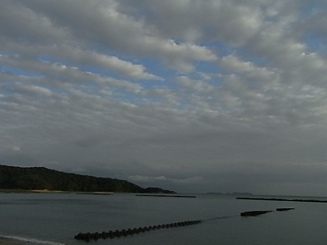 a0146070_681742.jpg