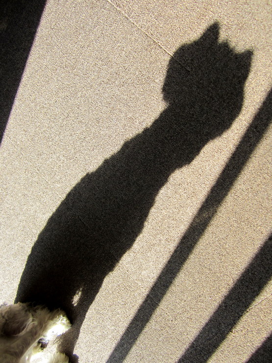 d0264176_182989.jpg