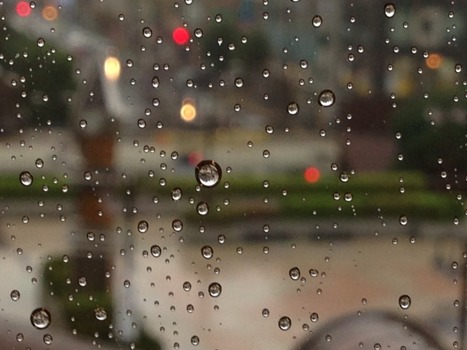 a0152078_1884978.jpg