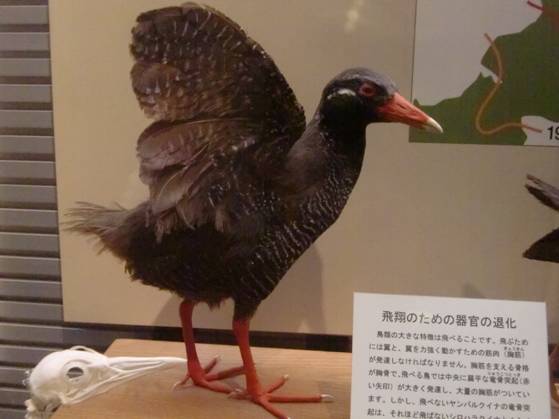 f0238779_11564478.jpg