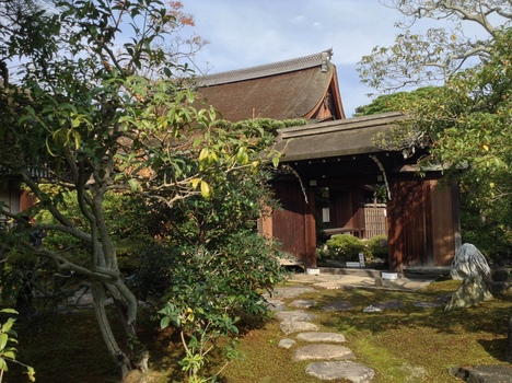 d0176186_1124822.jpg