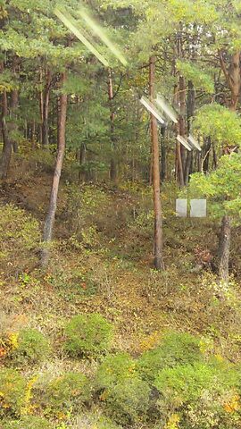 f0309796_1541167.jpg
