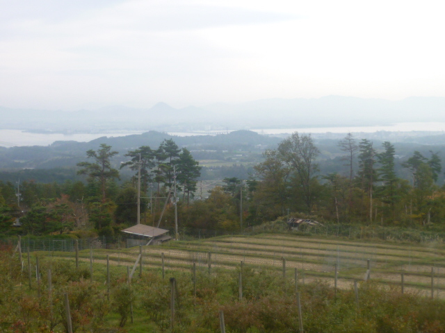 e0326699_5121231.jpg