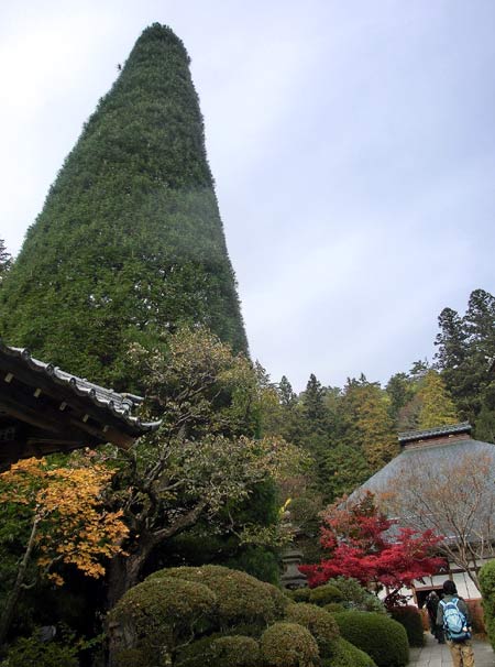 e0269400_13592366.jpg