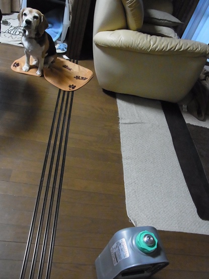 c0205806_20502220.jpg