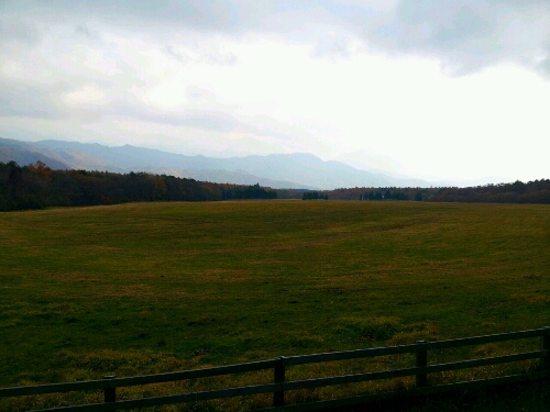 a0183009_1484252.jpg