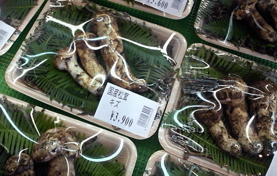 e0020214_0201391.gif