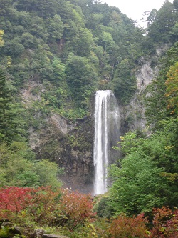 c0041316_15542439.jpg