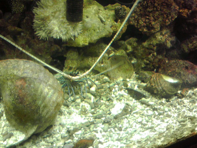 a0291521_7555117.jpg