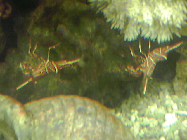 a0291521_7555129.jpg