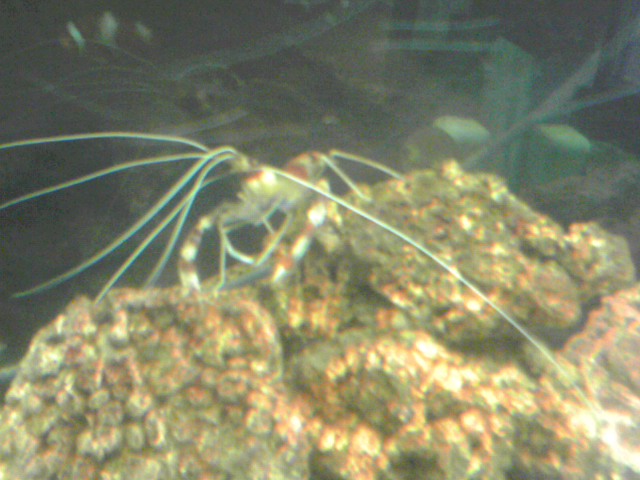 a0291521_7555133.jpg