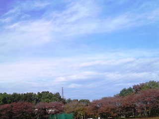 a0188926_23121482.jpg
