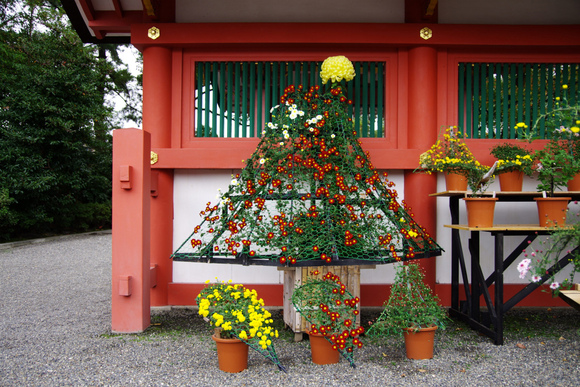 d0250028_1124965.jpg