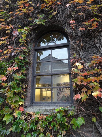 a0024829_14052038.jpg