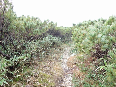 b0042334_23321262.jpg