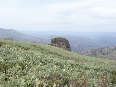 b0042334_23323543.jpg