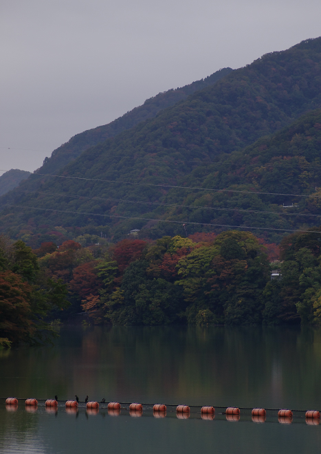 f0237034_2344035.jpg