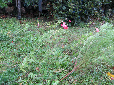 f0234936_8362019.jpg