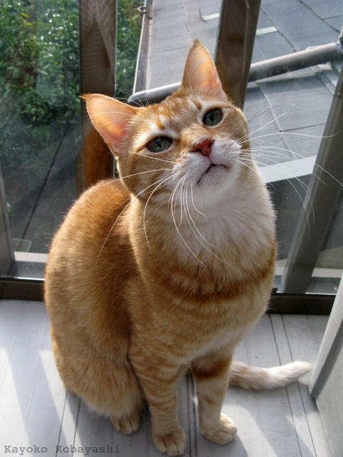 a0117440_22231123.jpg