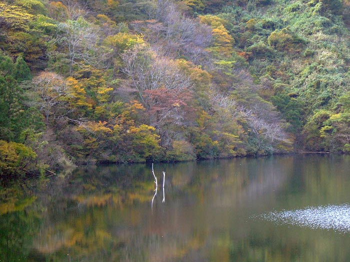 e0006242_17331526.jpg