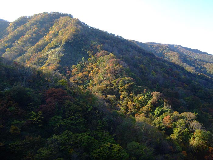 e0006242_17333581.jpg
