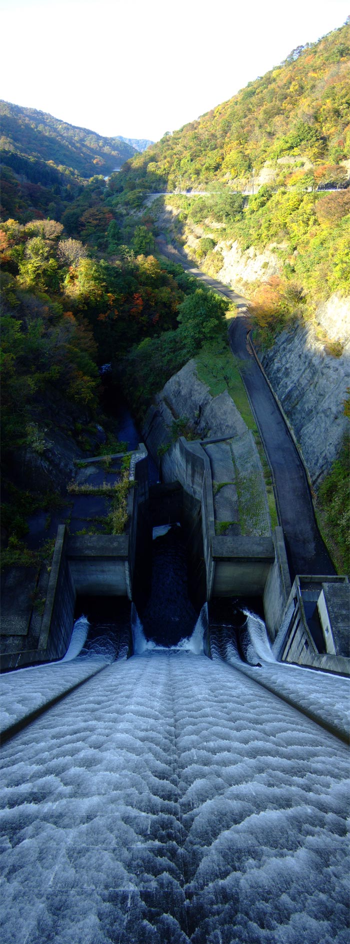 e0006242_17334377.jpg