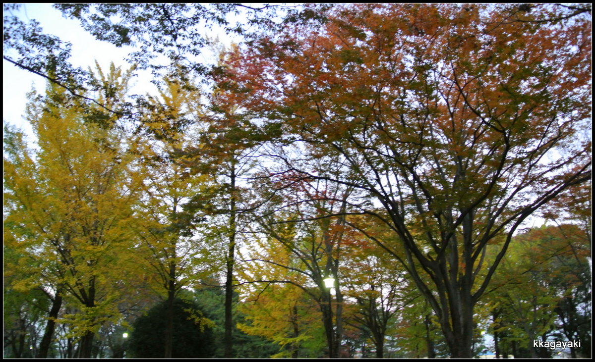 e0206242_2032437.jpg