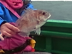 e0007544_7573669.jpg