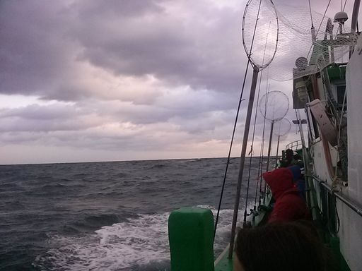 e0007544_810226.jpg