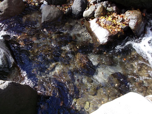e0248844_2016588.jpg