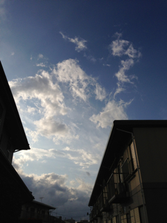 f0179947_0583881.jpg