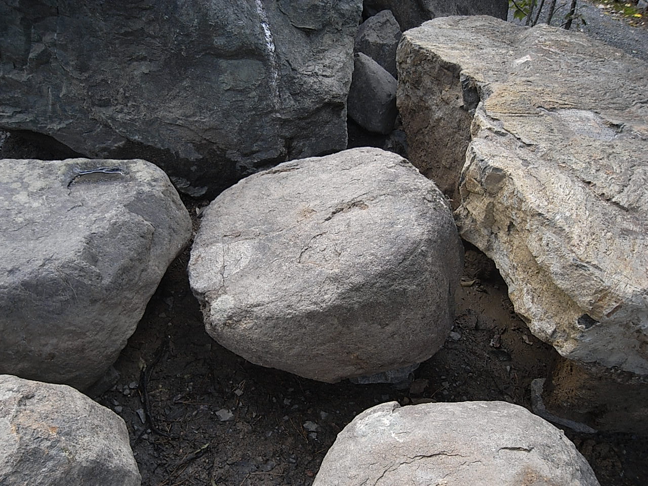 e0126548_832851.jpg