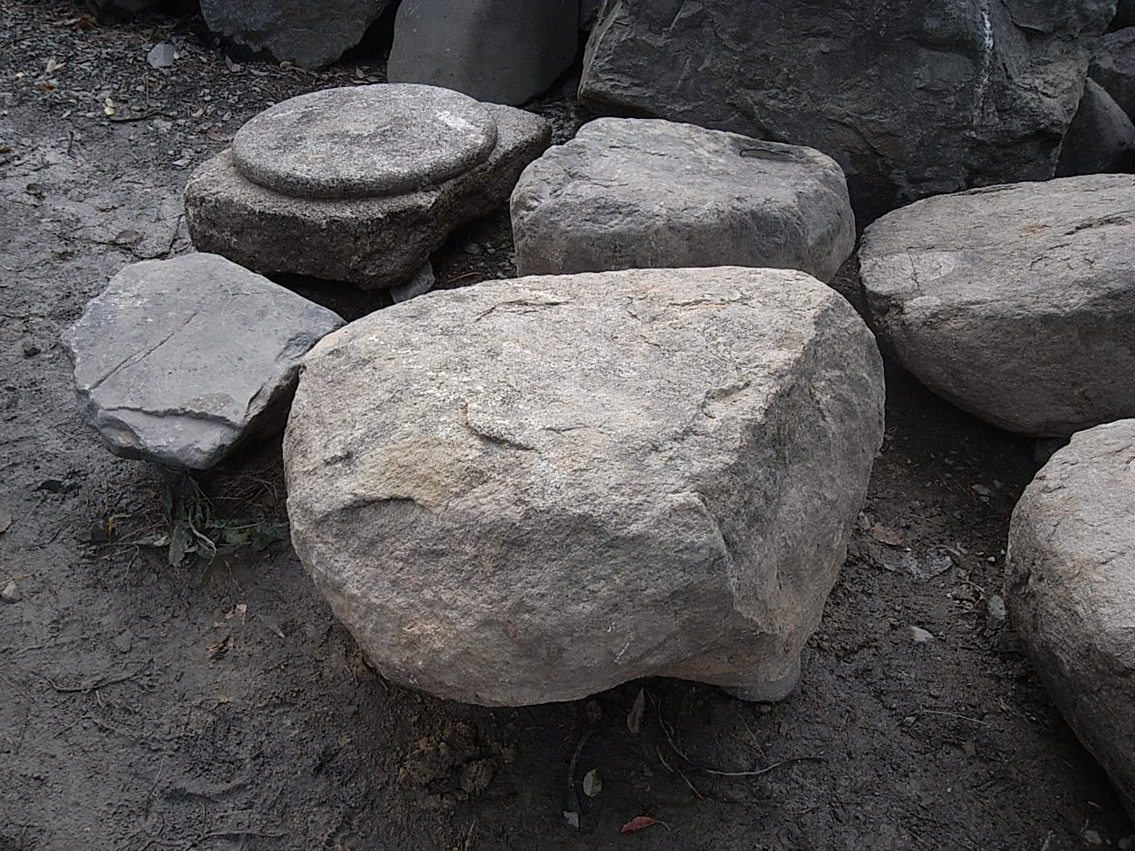 e0126548_83344.jpg