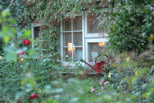 a0258549_1575667.jpg