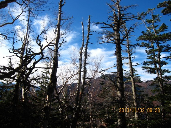 b0148050_21132227.jpg