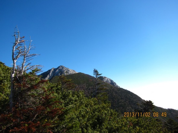 b0148050_21152566.jpg