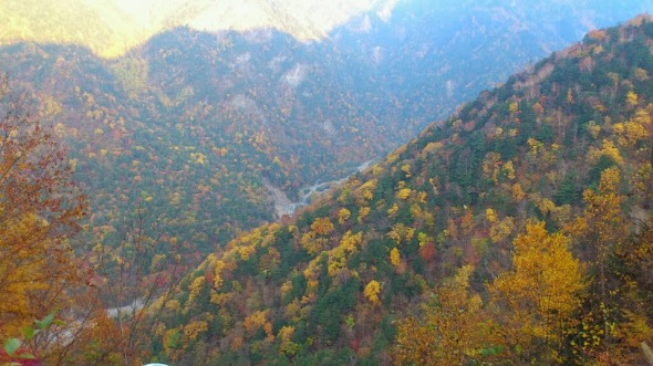 b0148050_21311321.jpg