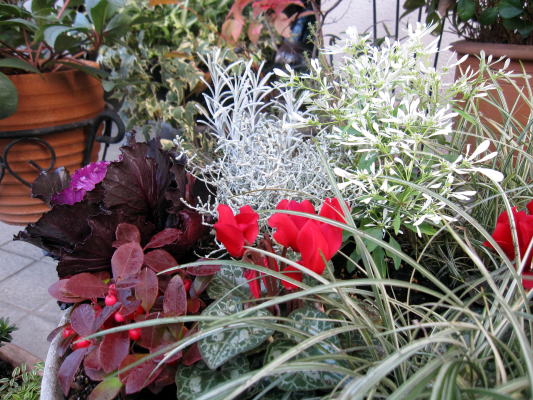 c0147952_239293.jpg
