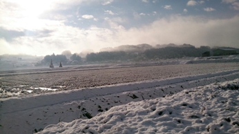 b0218664_13412258.jpg