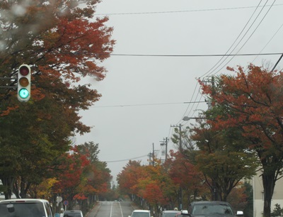 b0149071_19453849.jpg