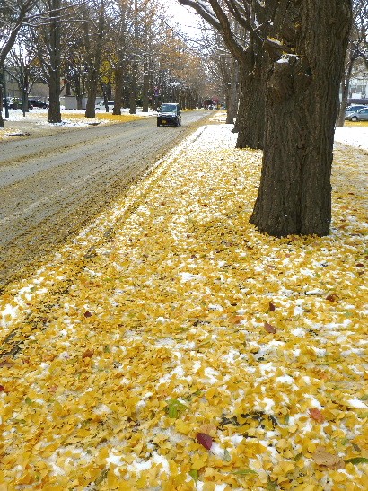 d0084473_2010329.jpg