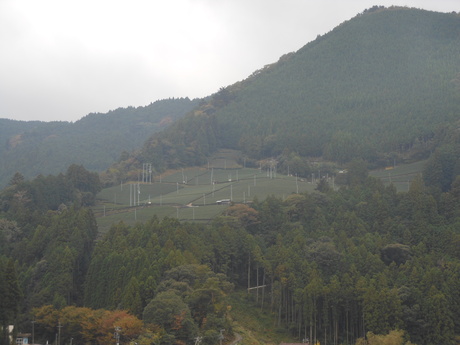 c0206177_1034892.jpg