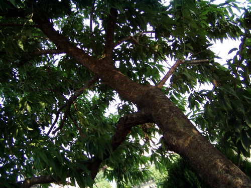 a0152078_16174518.jpg