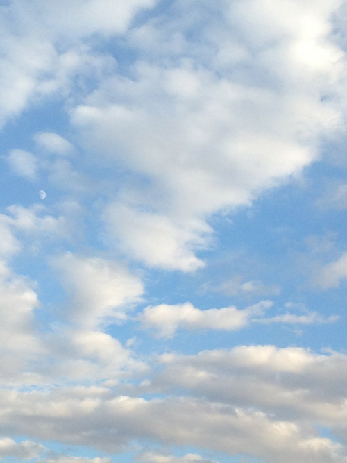 a0152078_1630939.jpg