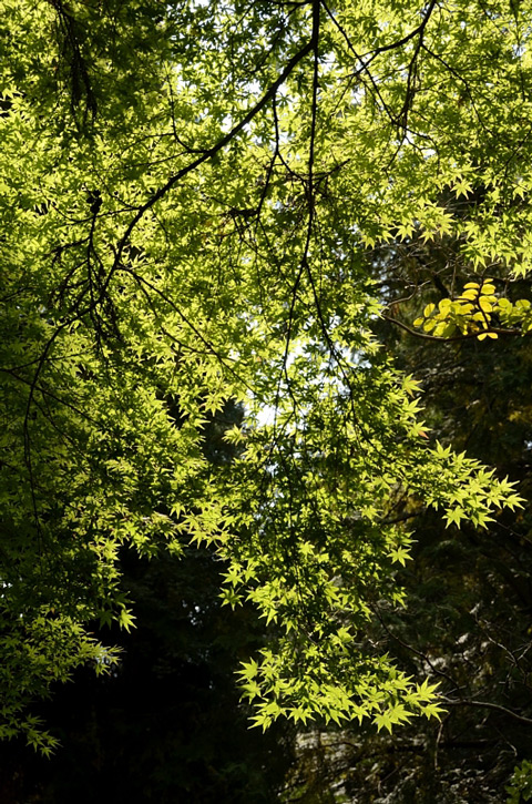 f0108478_204750100.jpg