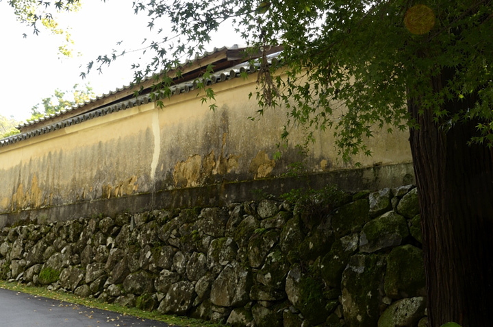 f0108478_20485140.jpg