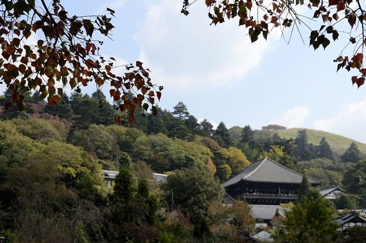 f0108478_20521696.jpg