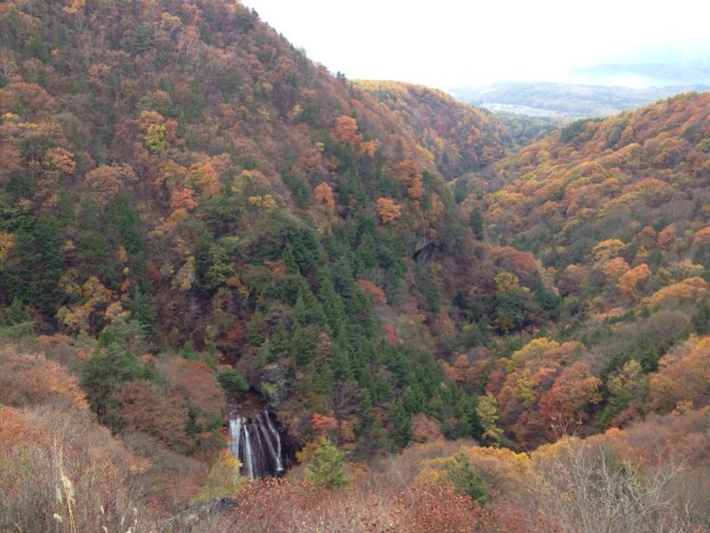 a0091680_18184063.jpg